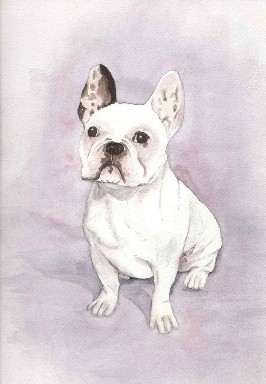 tolido watercolor artwork