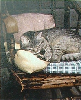 oil painting sleeping cat